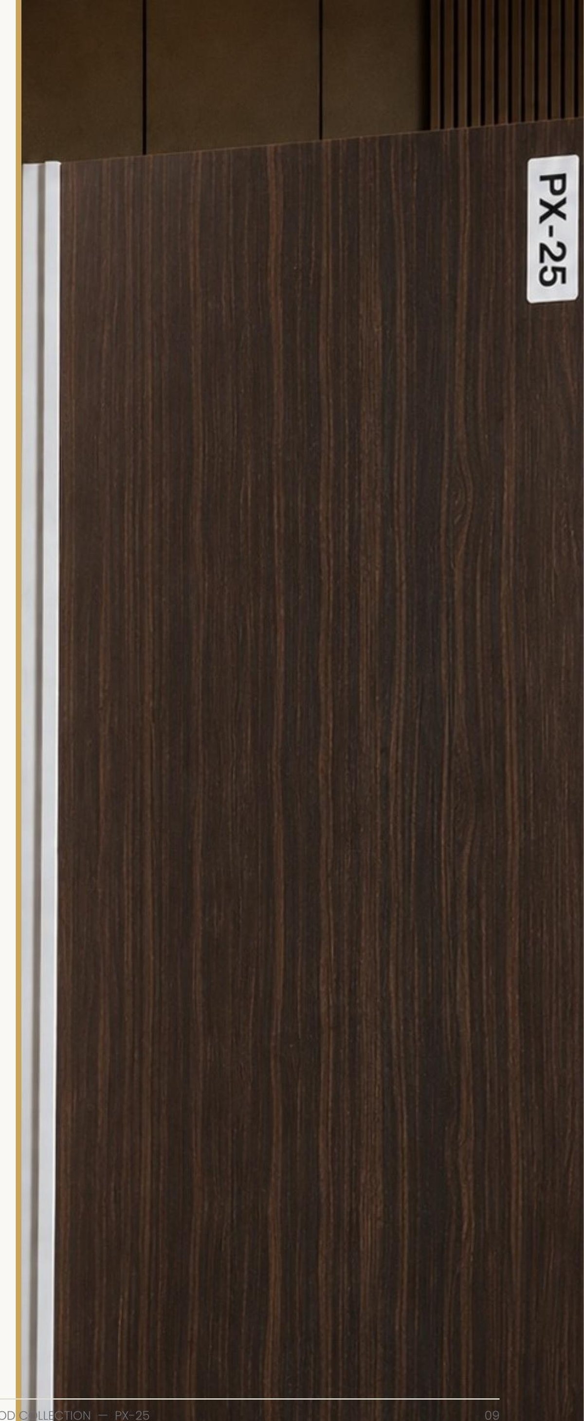 PX-25 carbon wall panel swatch